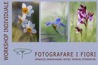 workshop fotografare i fiori